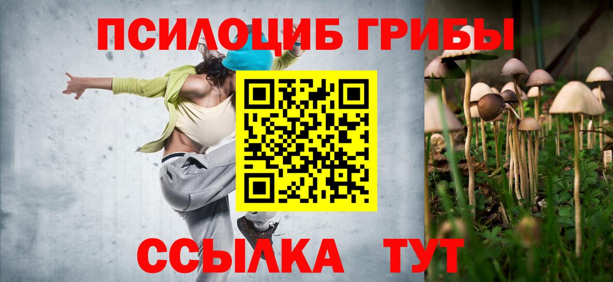 Апрелевка  Псилоцибиновые грибы Psilocybe  Вход с VPN 